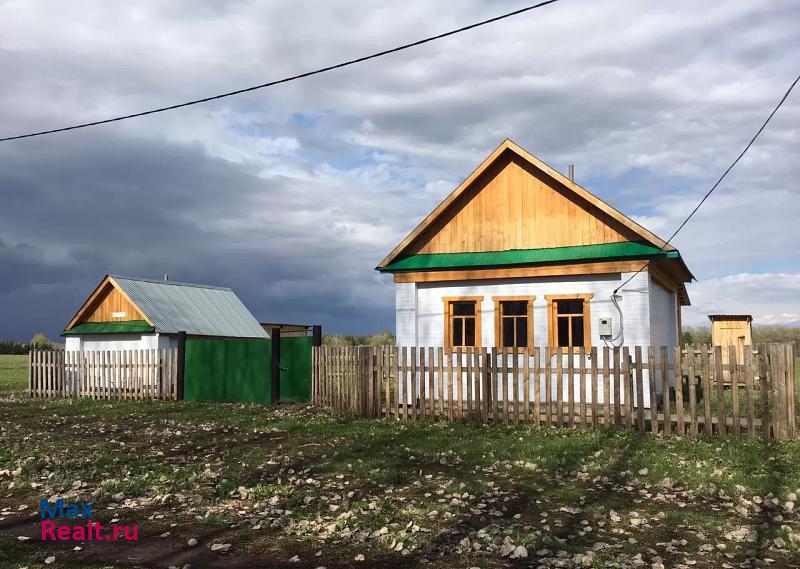 купить частный дом Менделеевск деревня Псеево