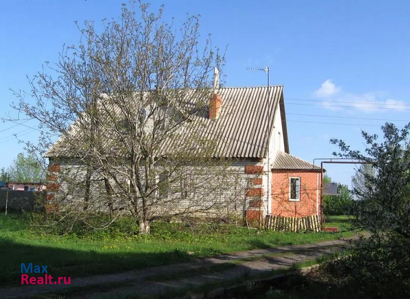 Короча село Плотавец, Центральная улица