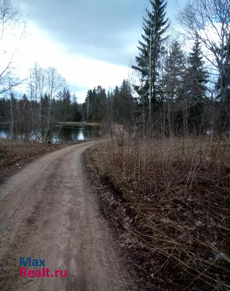 Валдай село Никольское, Садовая улица частные дома