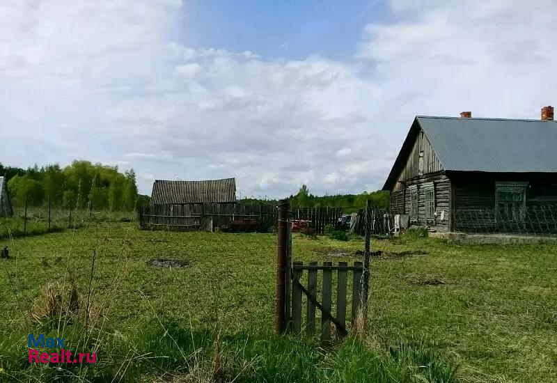 Ясногорск деревня Сенцово