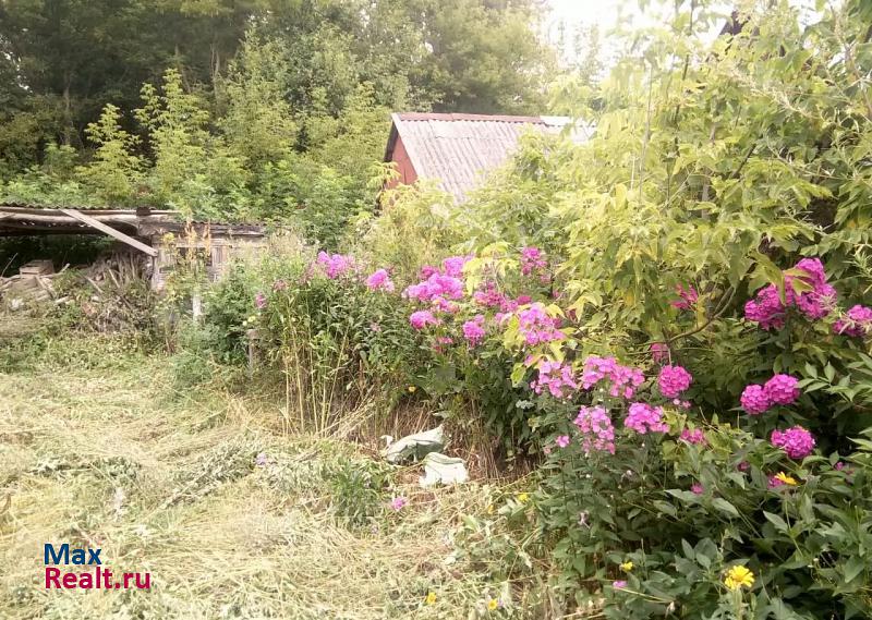 Борисовка посёлок городского типа Борисовка, Октябрьская улица, 197 дом