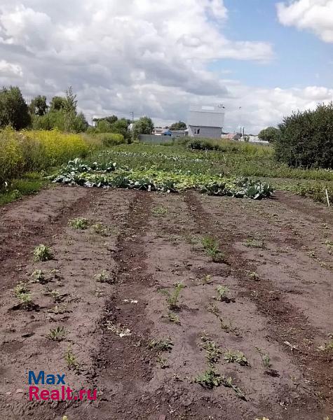 Новая Усмань село Новая Усмань, Советская улица частные дома