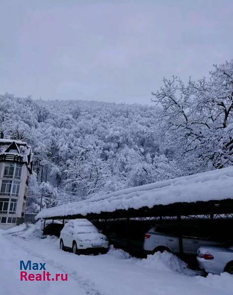 село Эстосадок, Берёзовая улица, 88/1 Красная Поляна квартира