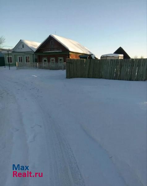 Нижний Ломов село Пешая Слобода, улица Грачёвка частные дома