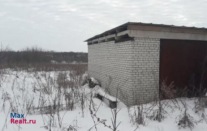 Данков село Требунки, Центральная улица, 78 частные дома