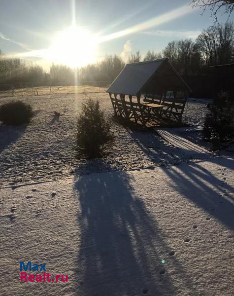 Задонск село, Задонский район, Нижнее Казачье