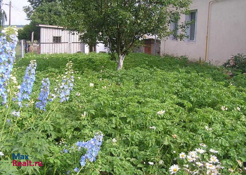 Серебряные Пруды село Петрово частные дома