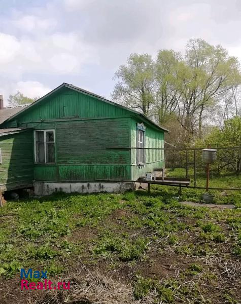 Серебряные Пруды Рязанская область, село Поливаново, Центральная улица дом