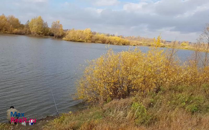 Арск деревня Русский Урмат, Центральная улица частные дома