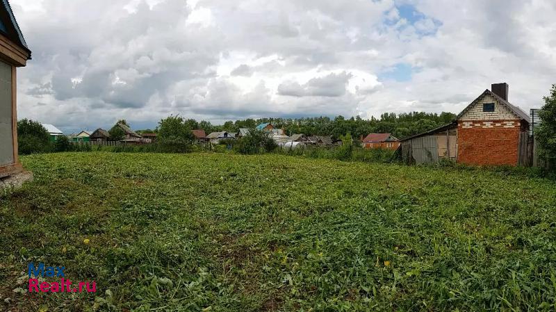 Арск Арский район, село Нижние Метески, улица Кирова