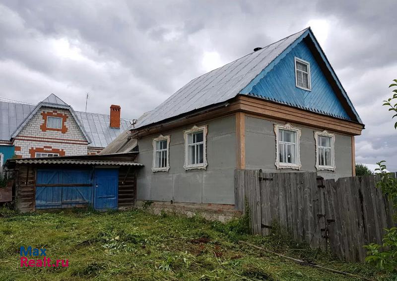 Арск Арский район, село Нижние Метески, улица Кирова частные дома