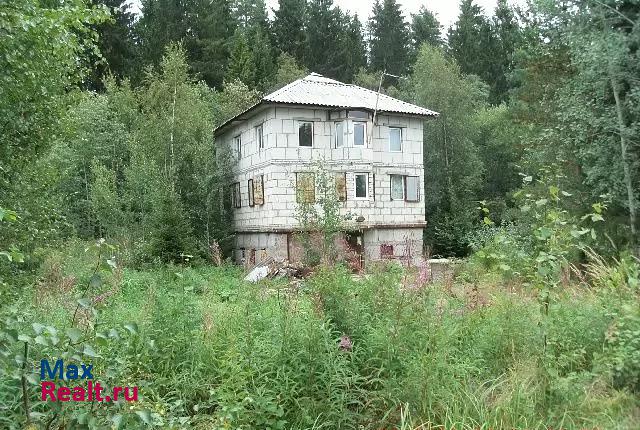 Рощино Рощинское городское поселение, садоводческое некоммерческое товарищество Карелия - Академическая