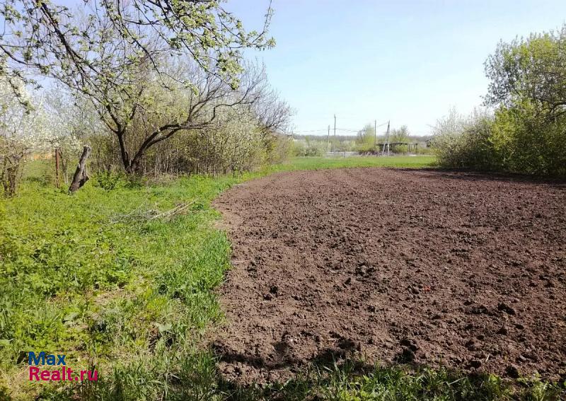 Рамонь село Берёзово, улица Гагарина дом