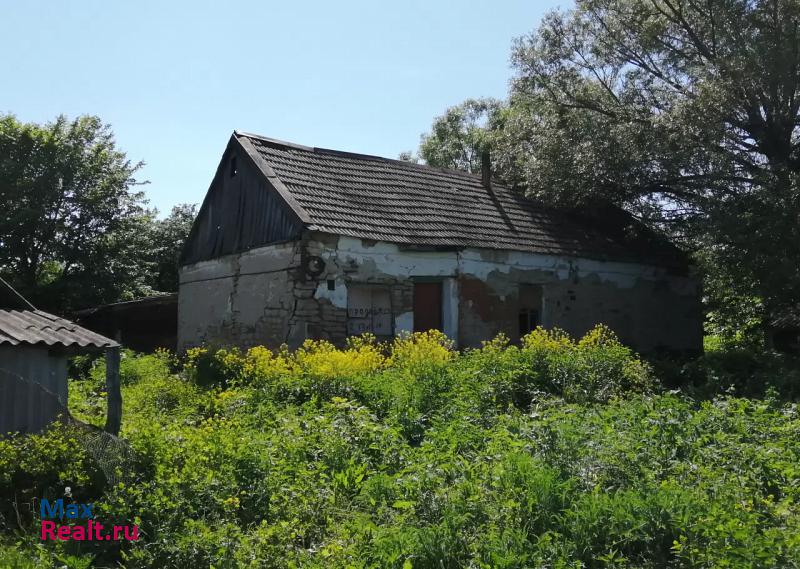 купить частный дом Рамонь село Большая Верейка