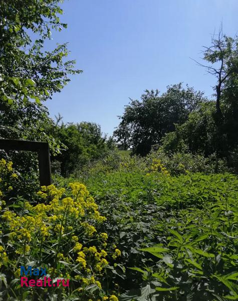 Рамонь село Большая Верейка частные дома