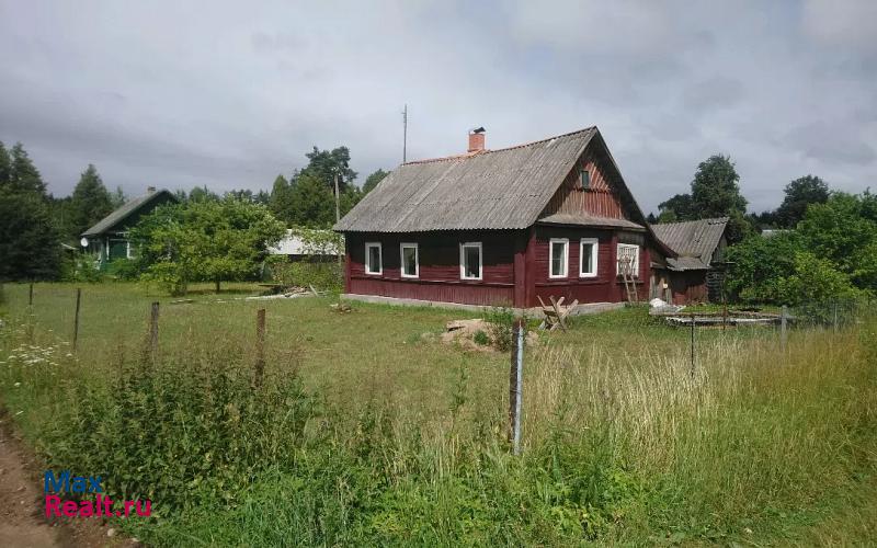 Опочка деревня Песчивка, Зелёная улица