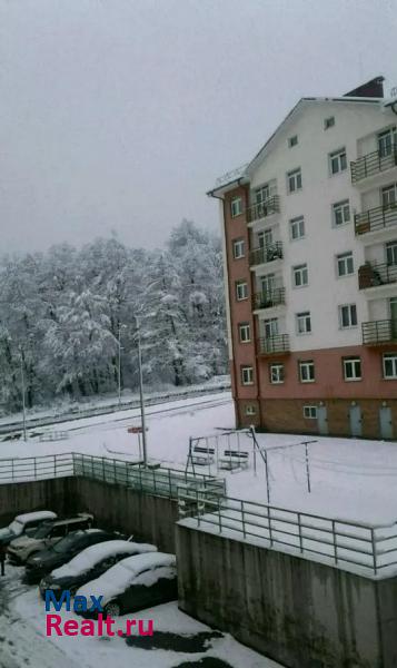 посёлок городского типа Красная Поляна, Ачишховская улица Красная Поляна квартира