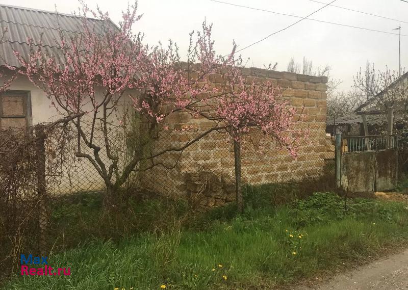 Белогорск Жемчужинское сельское поселение, село Пены, Новая улица