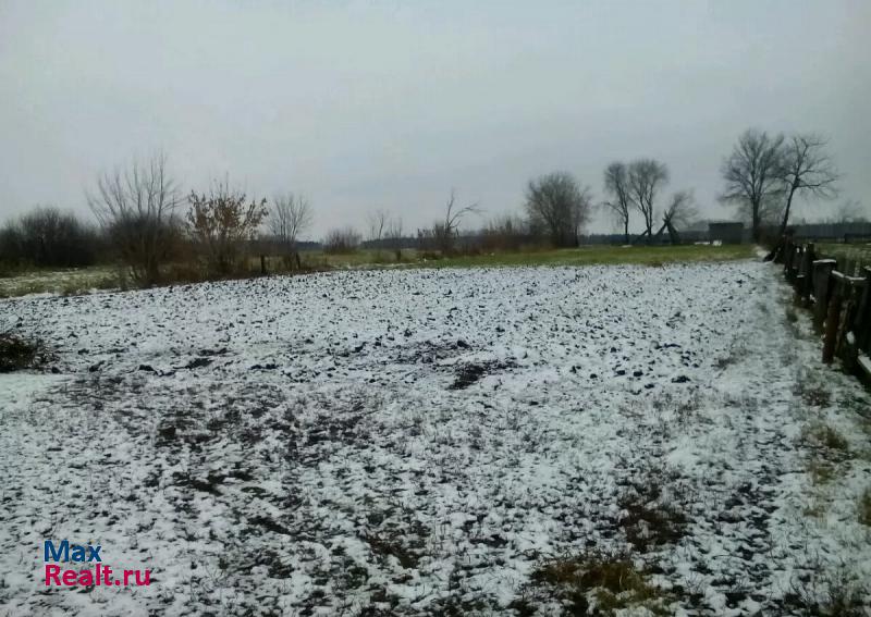 Кукмор Нижнерусское сельское поселение, село Урясьбаш, Пионерская улица, 4 частные дома