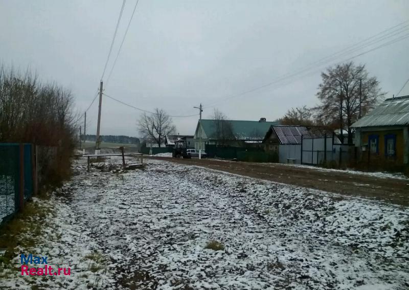 Кукмор Нижнерусское сельское поселение, село Урясьбаш, Пионерская улица, 4 продажа частного дома