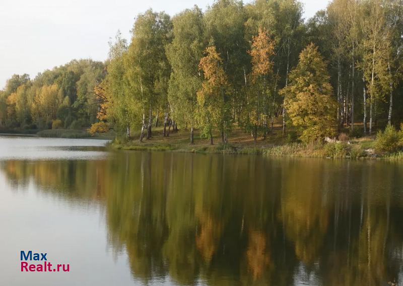 купить частный дом Гороховец деревня Купля, Левобережная улица