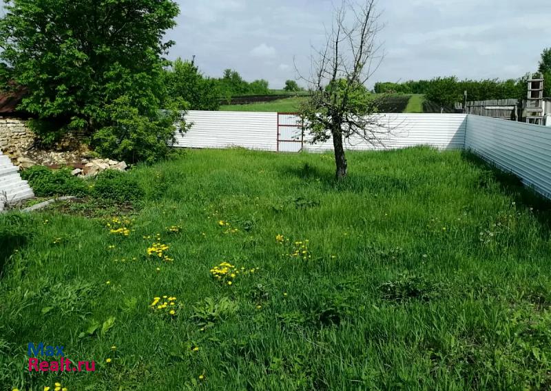 Задонск село Репец, Покровская улица частные дома