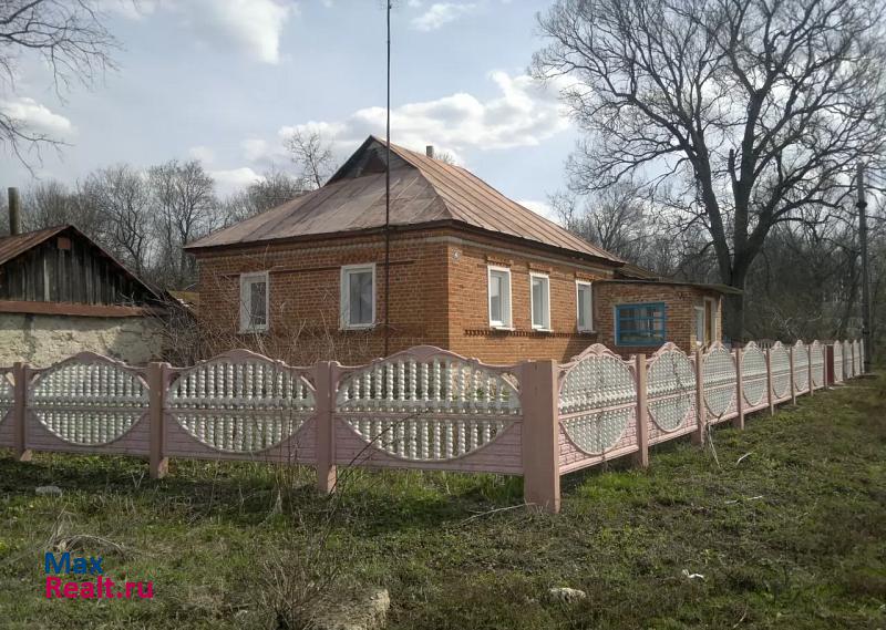 Задонск деревня Студеновка, Берёзовая улица