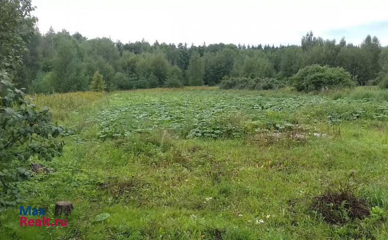 Задонск поселок Верхнее Казачье частные дома