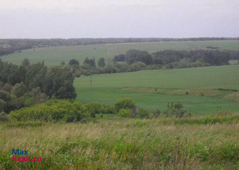 Задонск село Ксизово частные дома