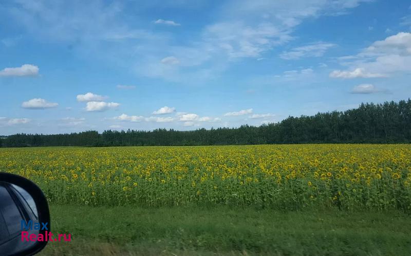 купить частный дом Козьмодемьянск Старые тарашнуры