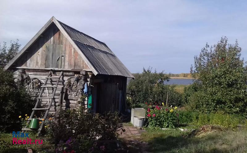 Барабинск село Новокозловское частные дома