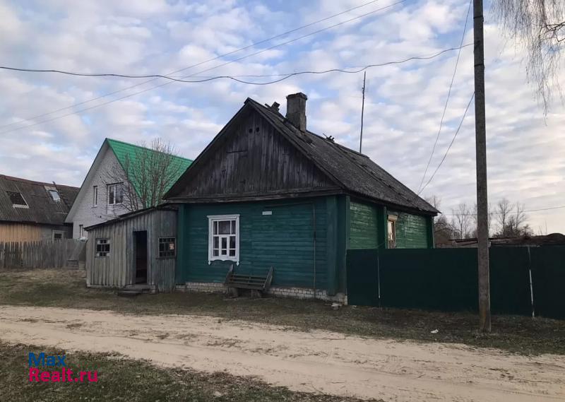 купить частный дом Жуковка Жуковский район, деревня Ходиловичи