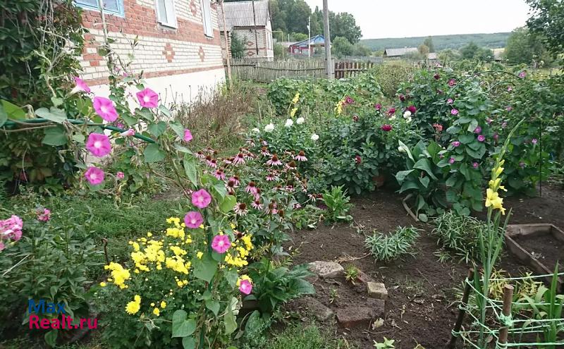 Нижний Ломов село Аршиновка продажа частного дома