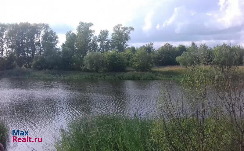 Ковылкино село Русская Лашма, Центральная улица частные дома