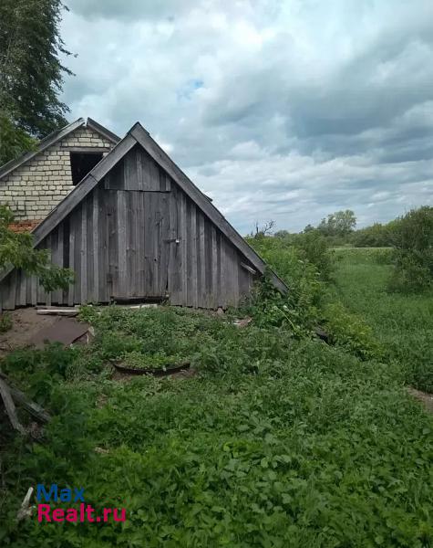 Ковылкино село Кочелаево частные дома