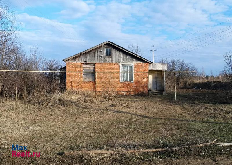 Ковылкино село Кочелаево, Школьная улица частные дома