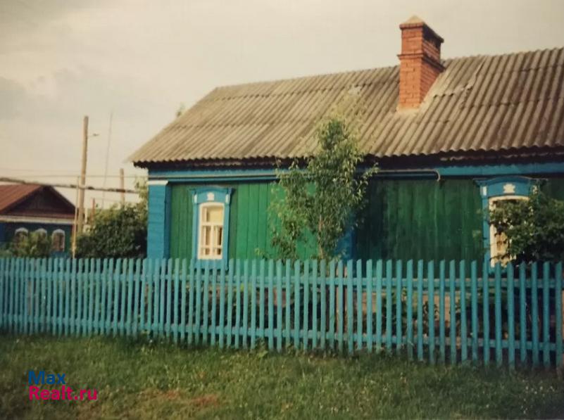 купить частный дом Буинск село Черки-Дюртиле, Нагорная улица