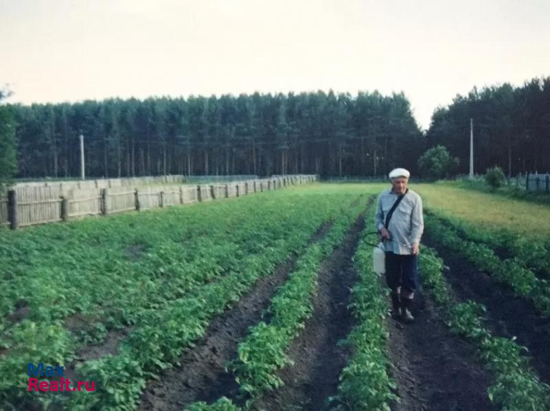 Буинск село Черки-Дюртиле, Нагорная улица