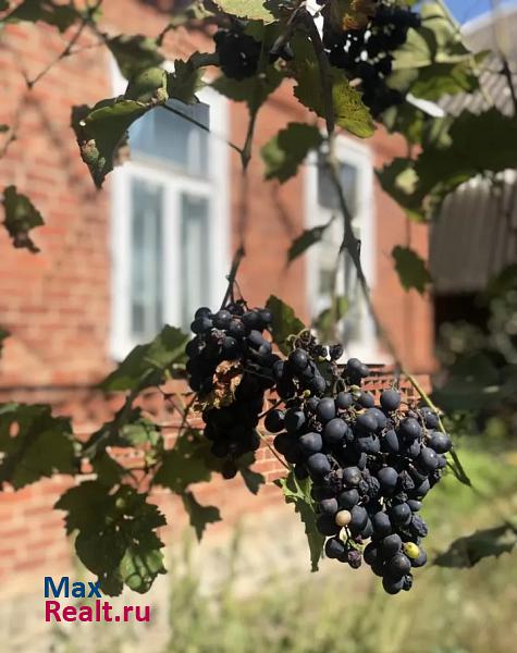 Холмская Абинский район, станица Холмская, улица Кочубея, 15 частные дома