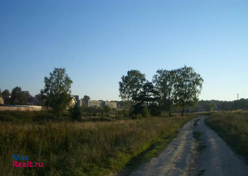 Жуков село Курилово, улица Королёва