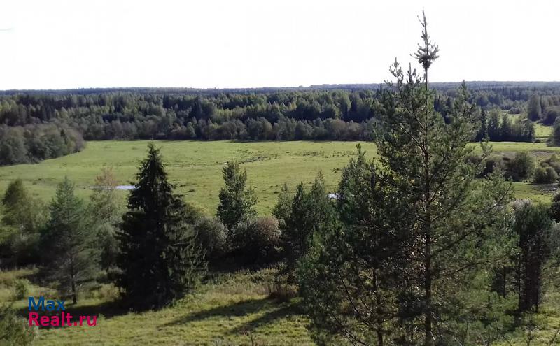 Верещагино Верещагинский городской округ, Нижнегалинское сельское поселение частные дома