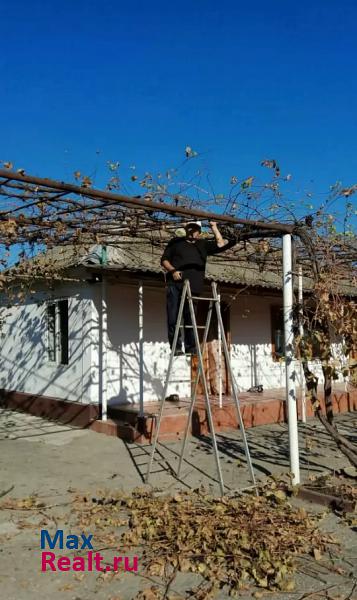 Аргун Степной пер дом