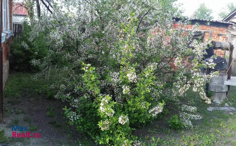 Бутурлиновка село Елизаветино, Весёлая улица