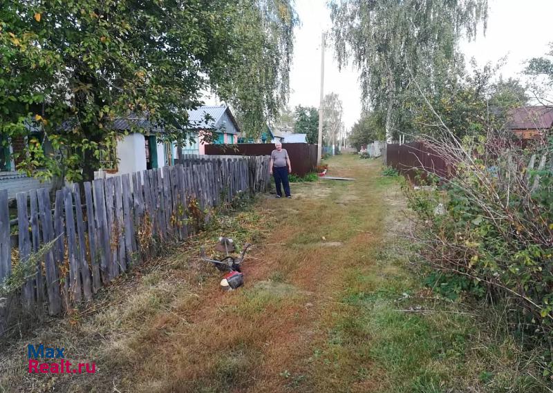 Ряжск село Новое Еголдаево, 2-я Центральная улица частные дома