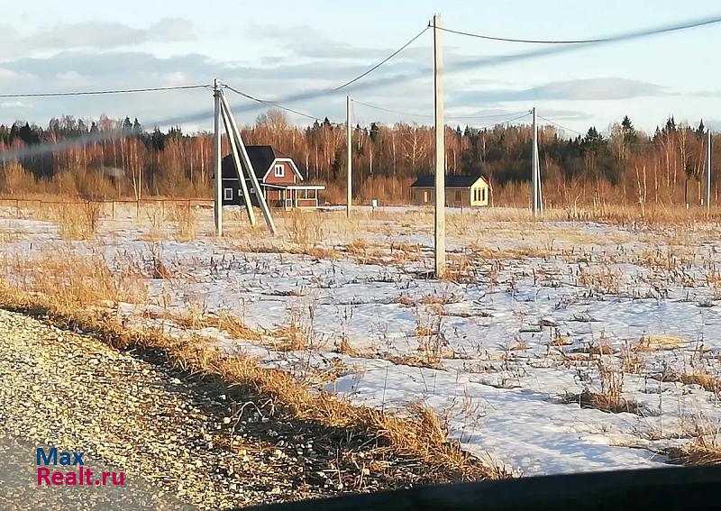 Шаховская городской округ Шаховская, деревня Костино