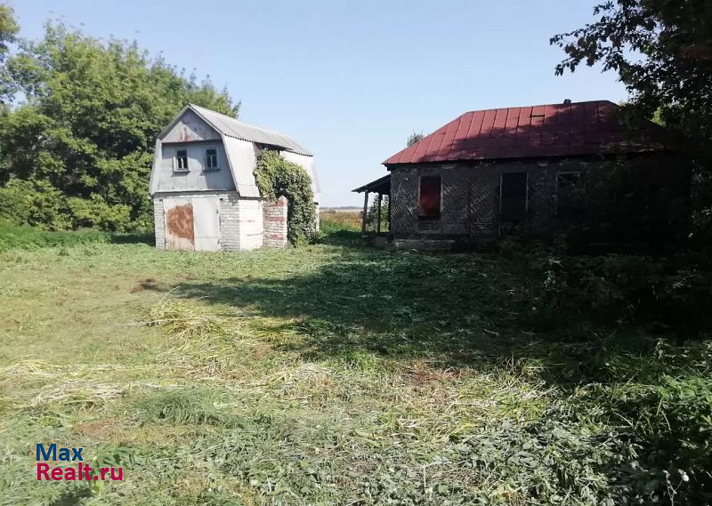 Усмань Сторожевской сельсовет, село Красное, улица Корневой