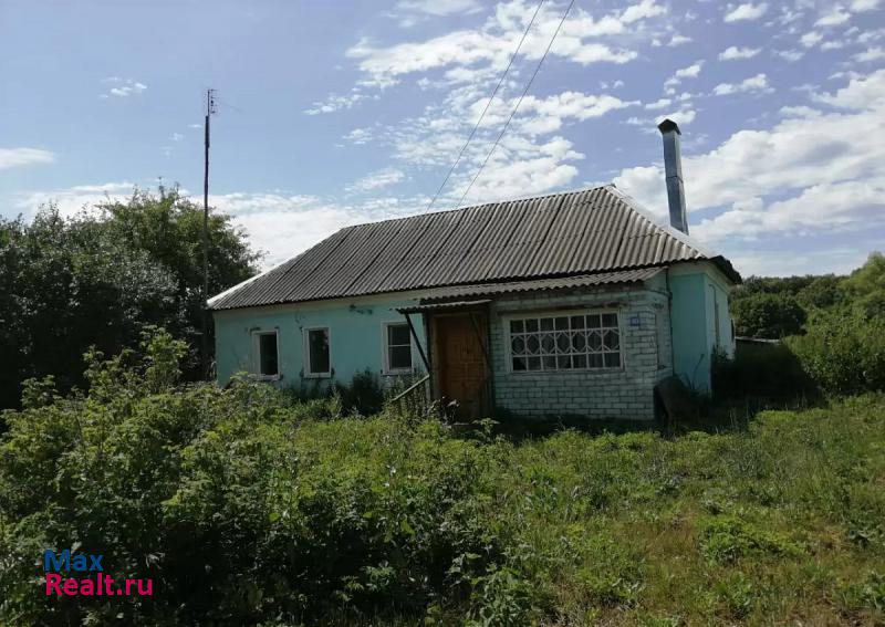 купить частный дом Усмань село Никольские Выселки