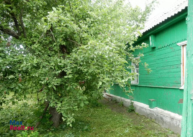 Усмань Поддубровский сельсовет, село Поддубровка, улица Лазовка частные дома