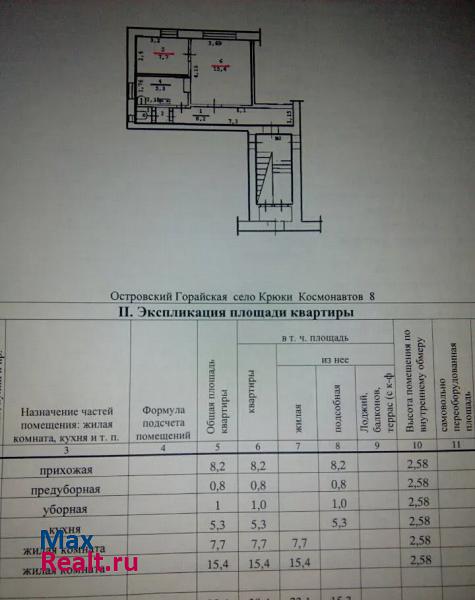 деревня Крюки, улица Космонавтов Остров квартира