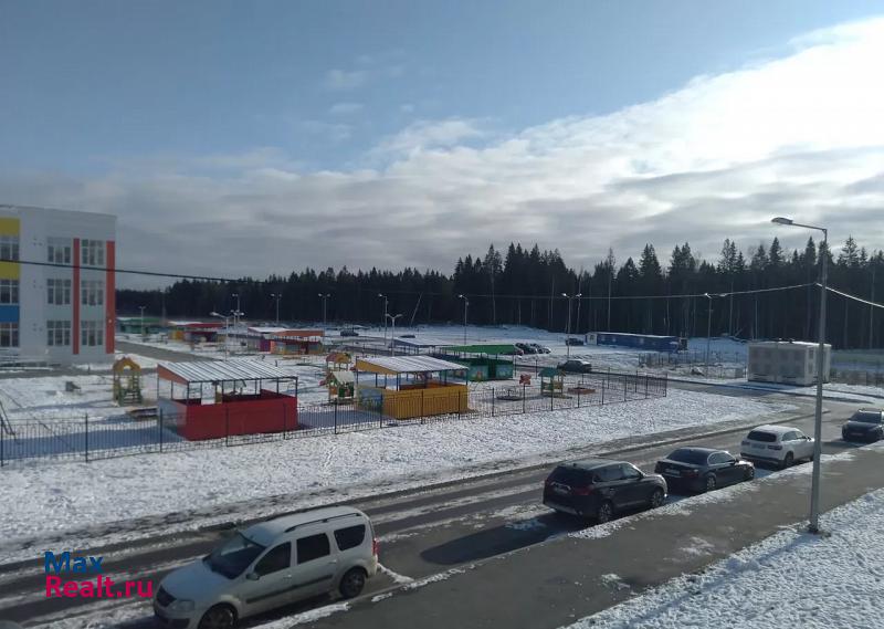 Сертоловское городское поселение, Верная улица, 1к1 Сертолово купить квартиру